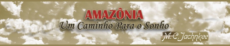 Loja de Amazônia- um caminho para o sonho.- livro